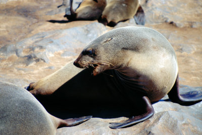 Img0059.JPG
