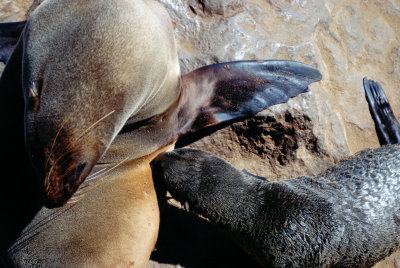Img0060.JPG