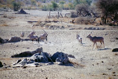 Img0087.JPG