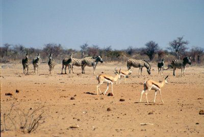 Img0119.JPG