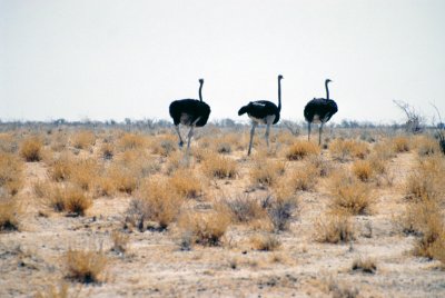 Img0120.JPG
