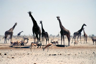 Img0121.JPG