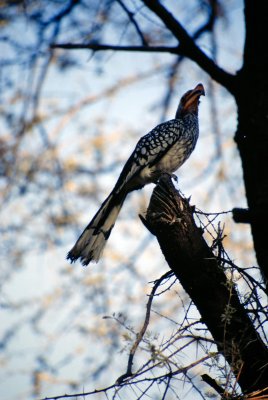 Img0124.JPG