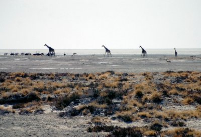Img0128.JPG
