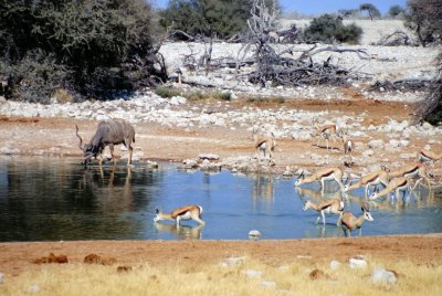 Img0135.JPG