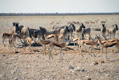 Img0136.JPG