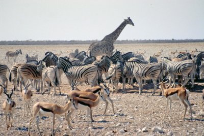 Img0140.JPG