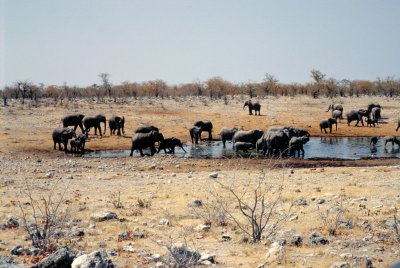 Img0154.JPG