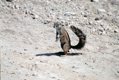 Img0156.JPG