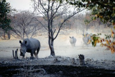 Img0159.JPG