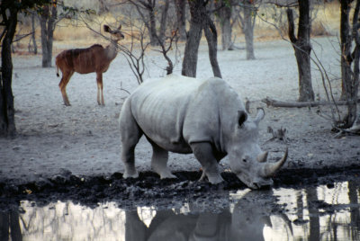Img0161.JPG