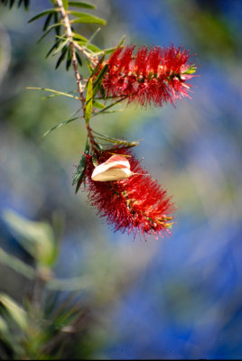 Img0163.JPG