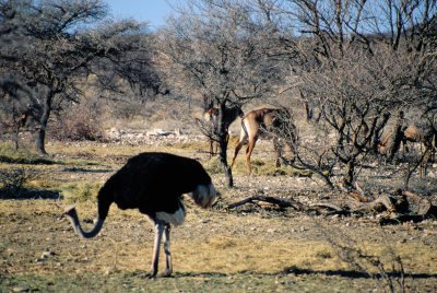Img0171.JPG