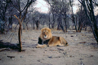 Img0181.JPG
