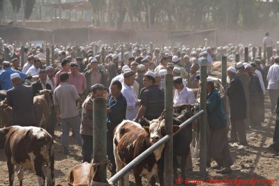 Livestock market, Kashgar, Xinjiang