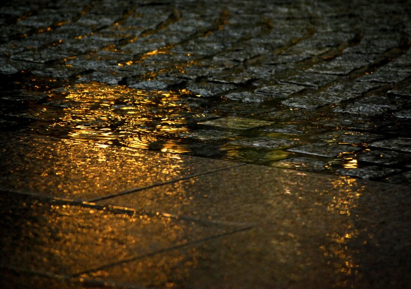 Another wet day