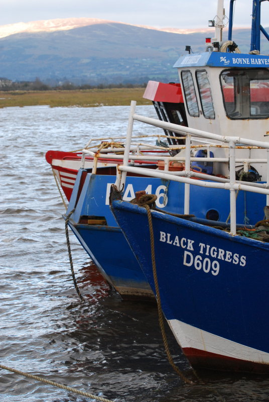 Down at the docks