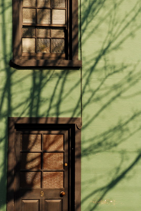 Spring shadows