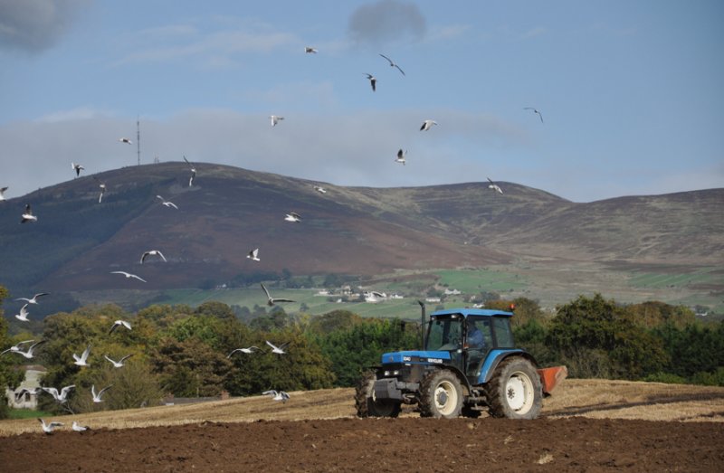 Ploughing