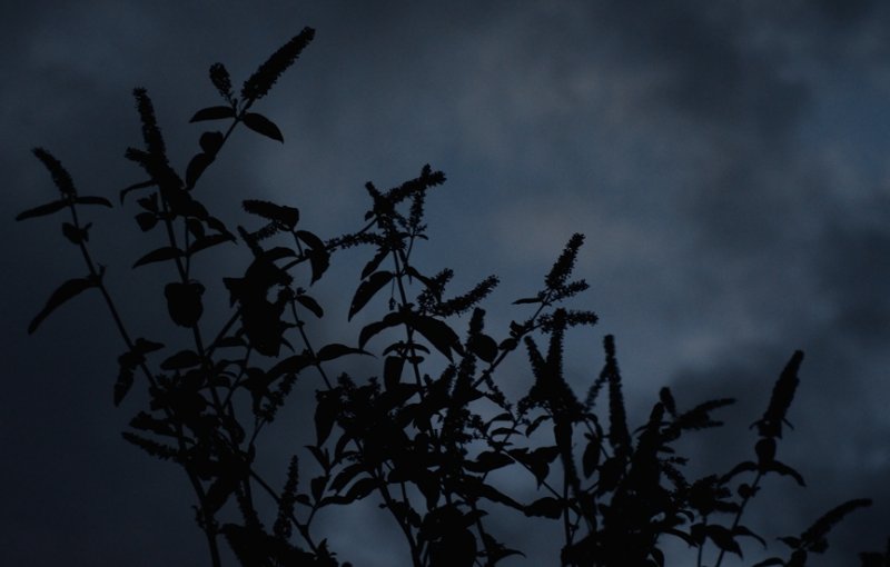 Almost Dark