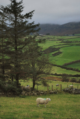 Rural