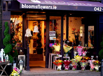 B is for blooms