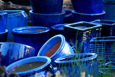 Pots of blue