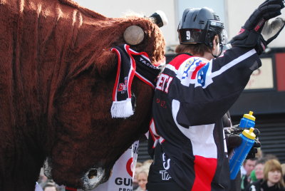 Dundalk Bulls ice hockey team