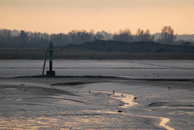 Mudflats at low tide