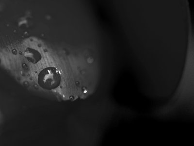 Water abstract