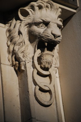 O'Connell St Lion