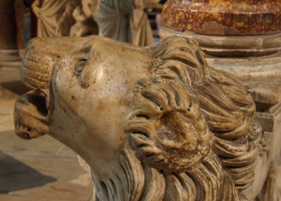 Lion's head
