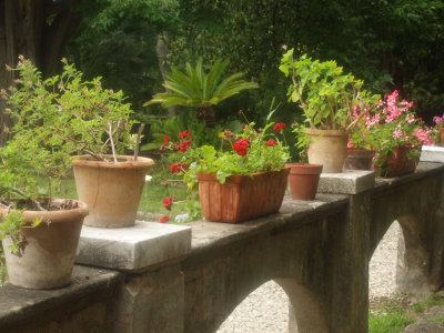 Planters