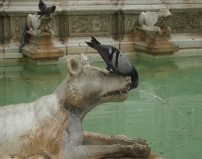 A cooling drink