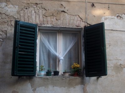 Window