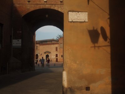 Evening shadows