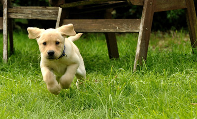Run To Me