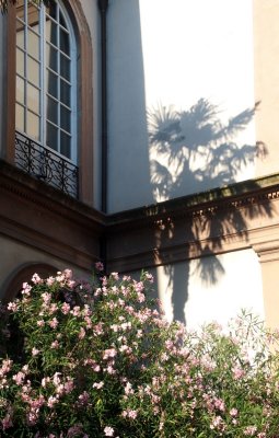 Shadows