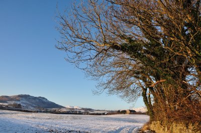 Cooley snow fields