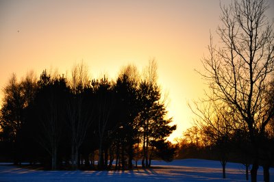 Suset at Ballymascanlon