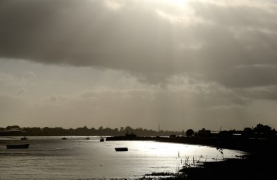 Contre-Jour Mudflats