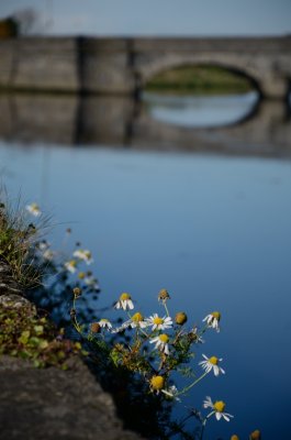 Some of us walk along the riverbank