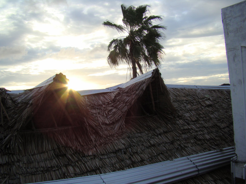 late afternoon sun over Lamu Town