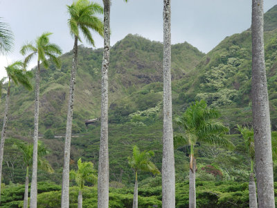 Ko'olau Golf Club