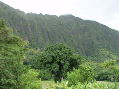 Ko'olau Golf Club