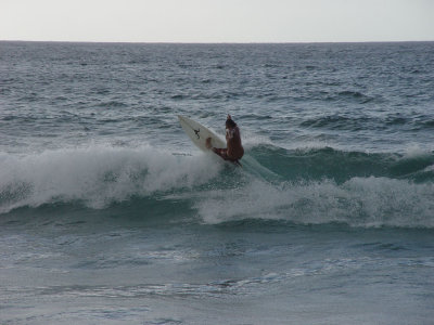 surfer, Sunset Beach, North Shore