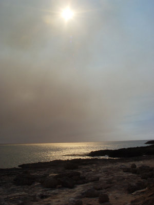 Ohikilolo Beach/Kaena Beach State Park (I think)