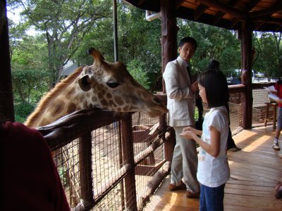schoolgirl & Rothschild Giraffe at the Giraffe Center