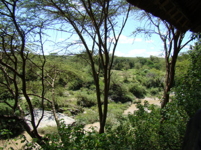 Tarek River, next to the lodge