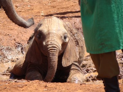 mudbath